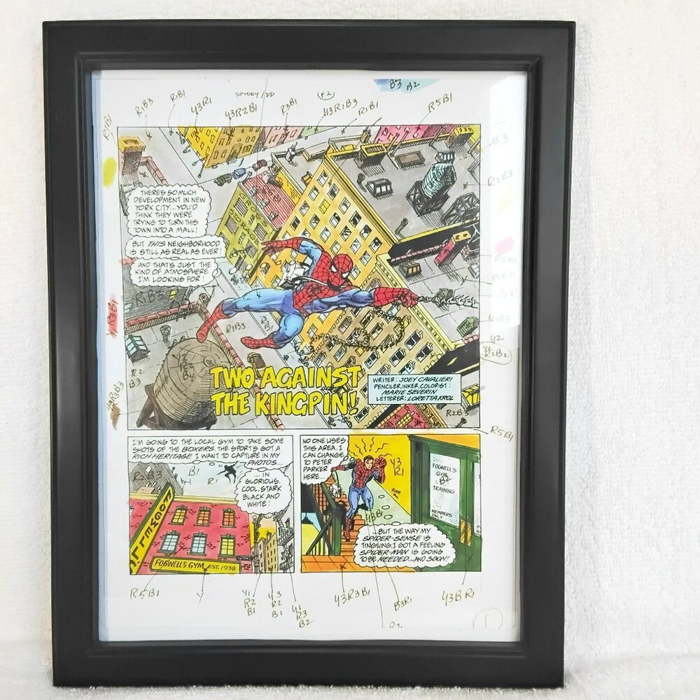 2/$25  9"×12" Full Frame Spider-Man Color Test Wall Decor Featuring Spider-Man!